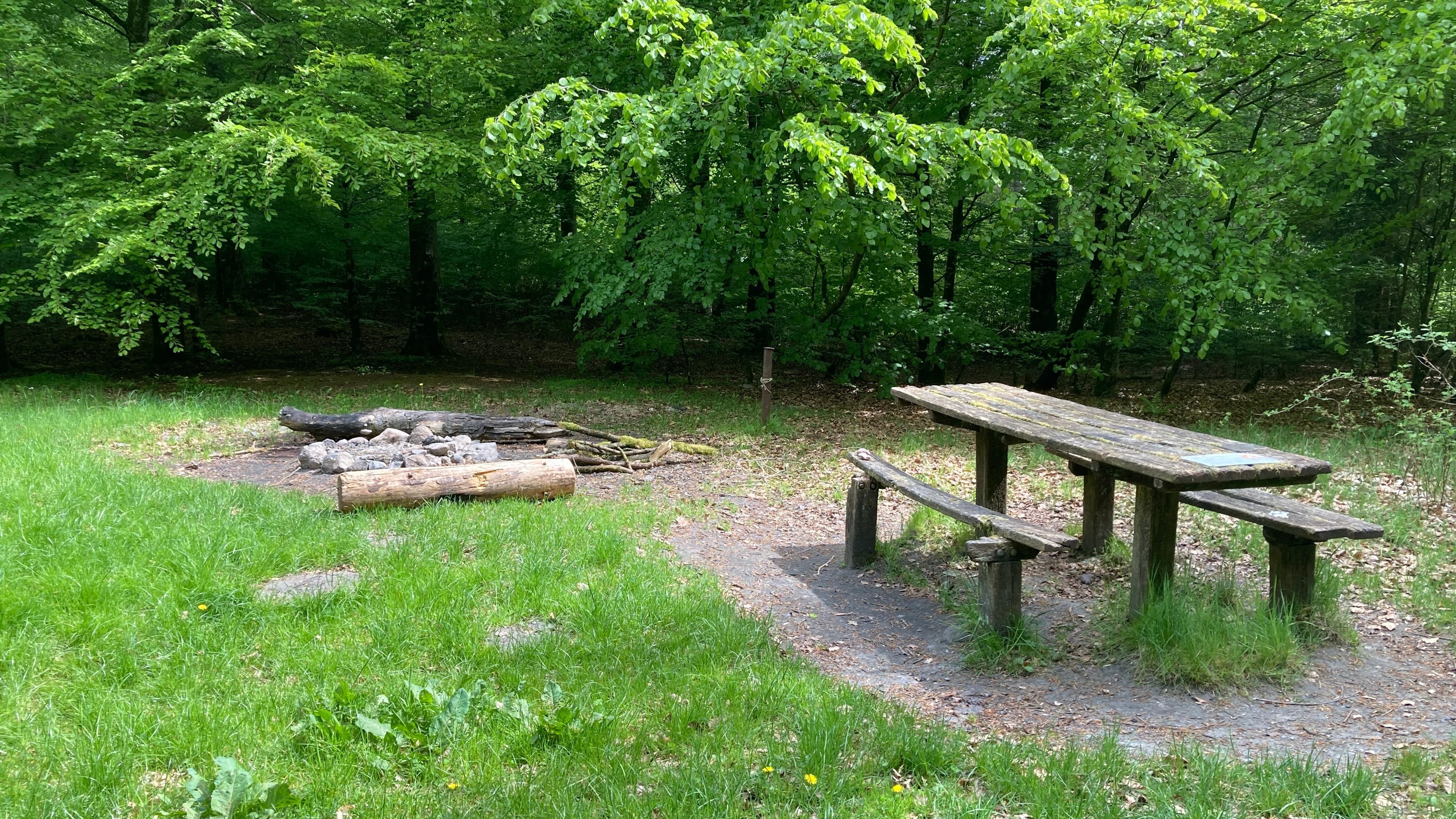 Flyverpladsen - primitive tent site