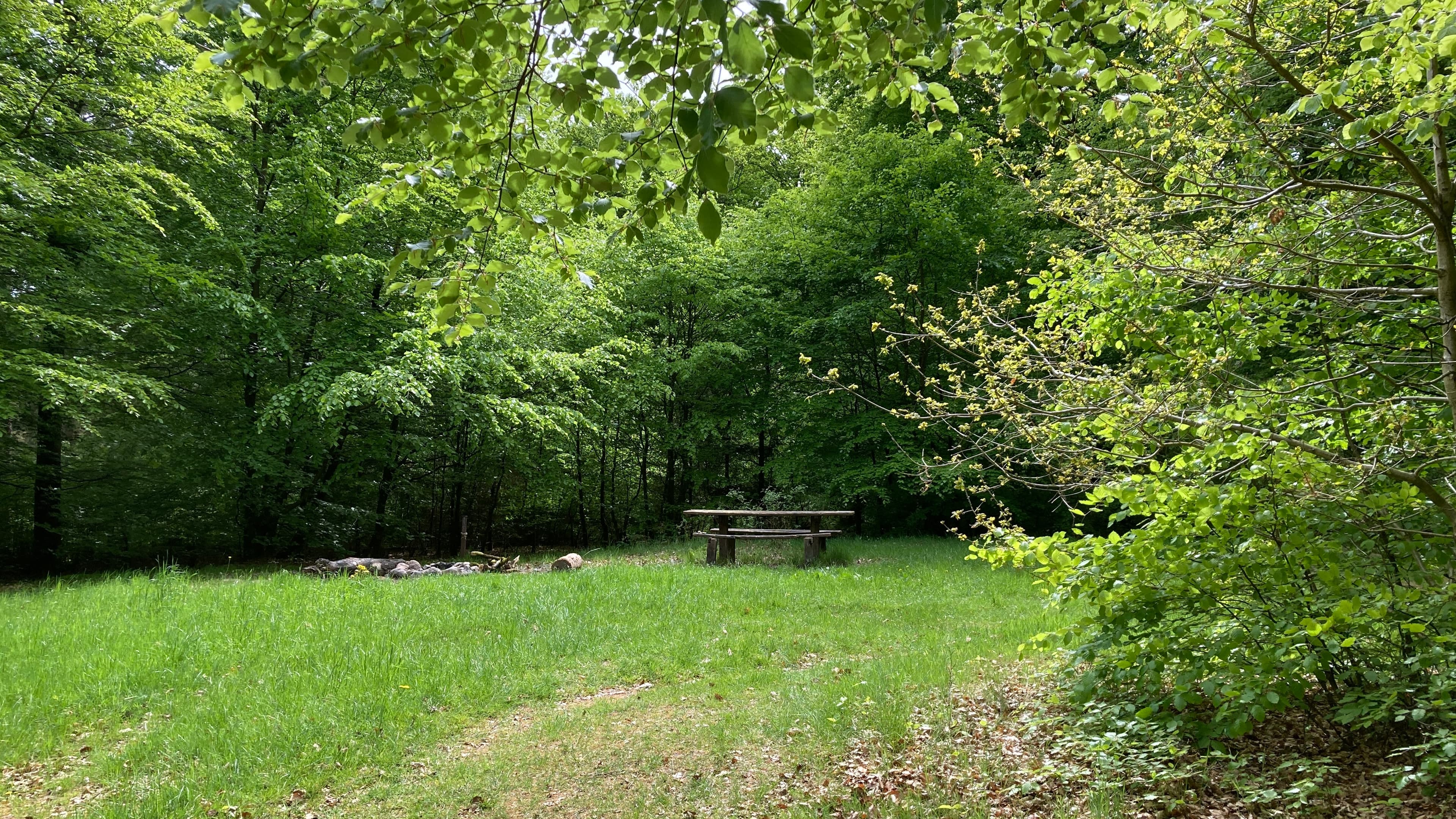 Flyverpladsen - primitive tent site