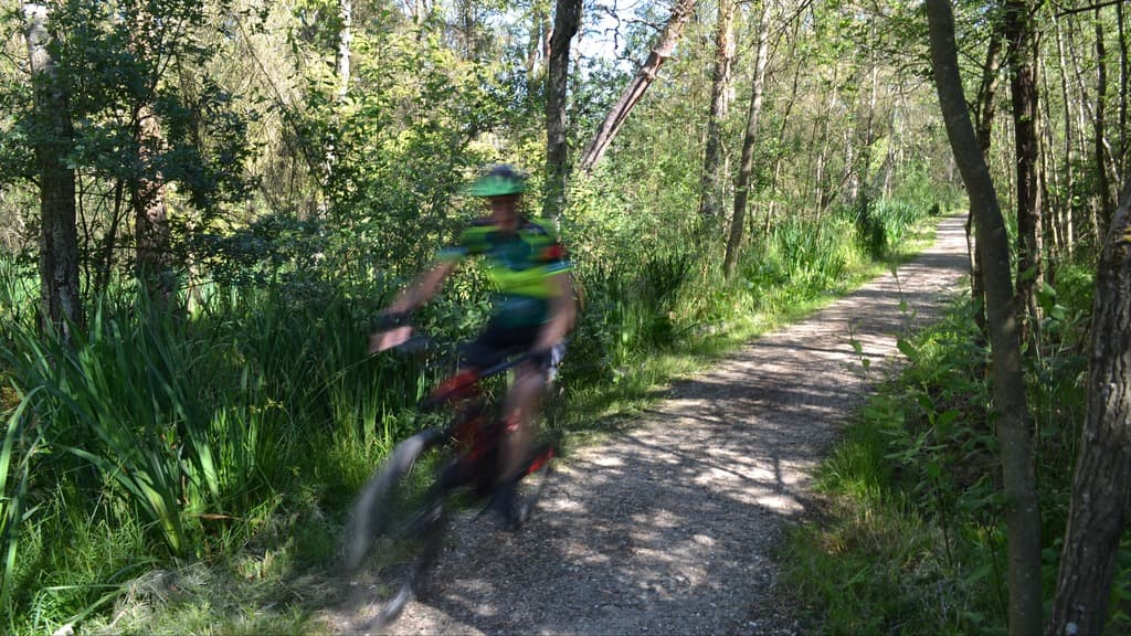 Ørnsø Trail