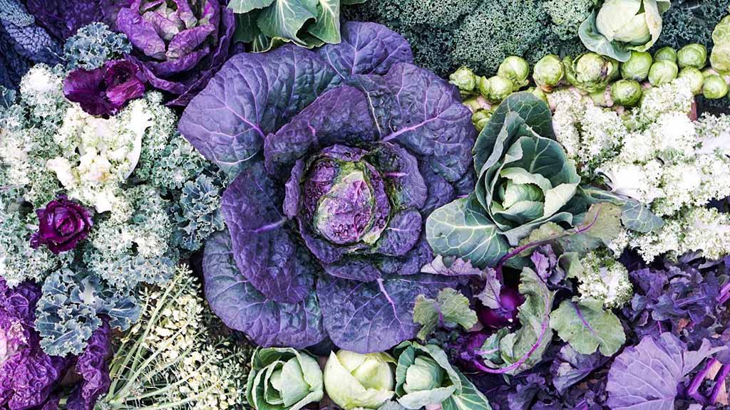 ubat veggie