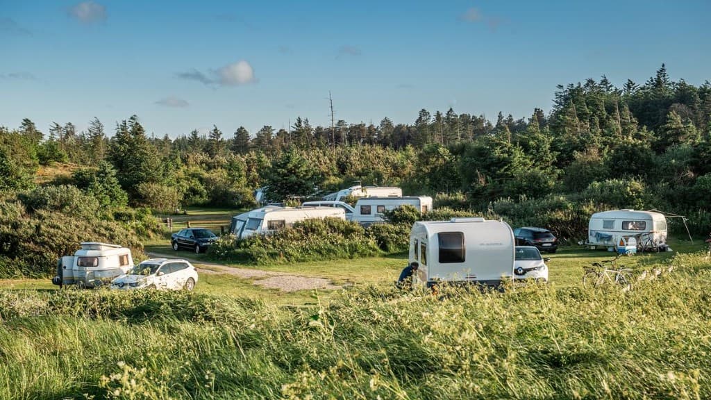 Svinkløv Camping