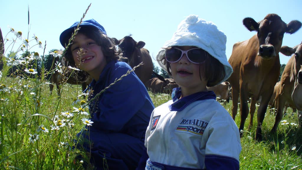 Gyvelborg Øko-camping & Gårdbutik (Gyvelborg organic camping and farm shop)