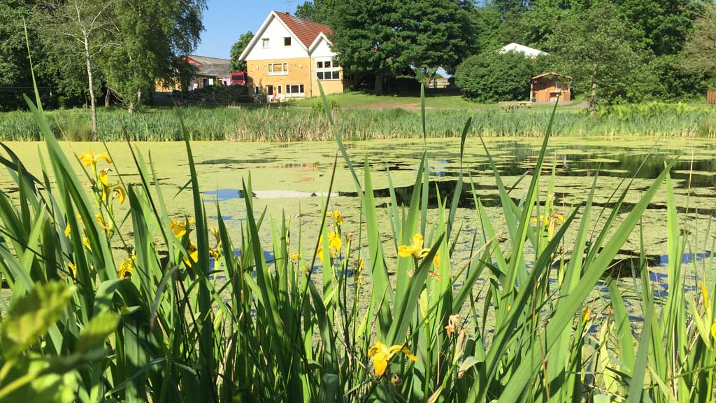 Gyvelborg Øko-camping & Gårdbutik (Gyvelborg organic camping and farm shop)